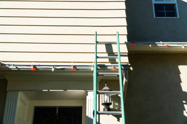 Affordable siding repair and maintenance services in Albion, NE