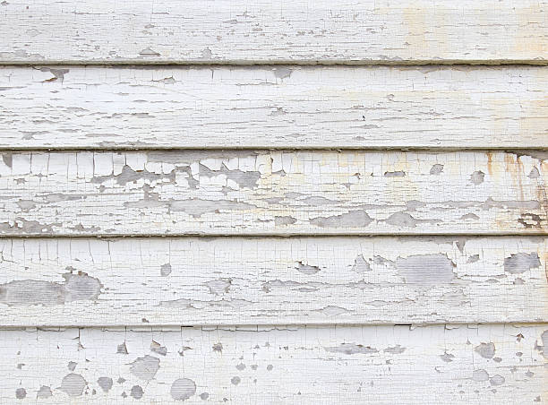 Best Siding Replacement  in Albion, NE
